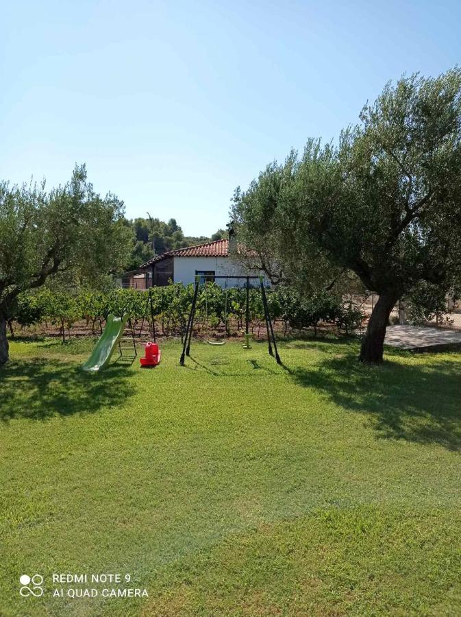 Ioannis Stagkonis House 2 Villa Ormos Panagias Exterior foto